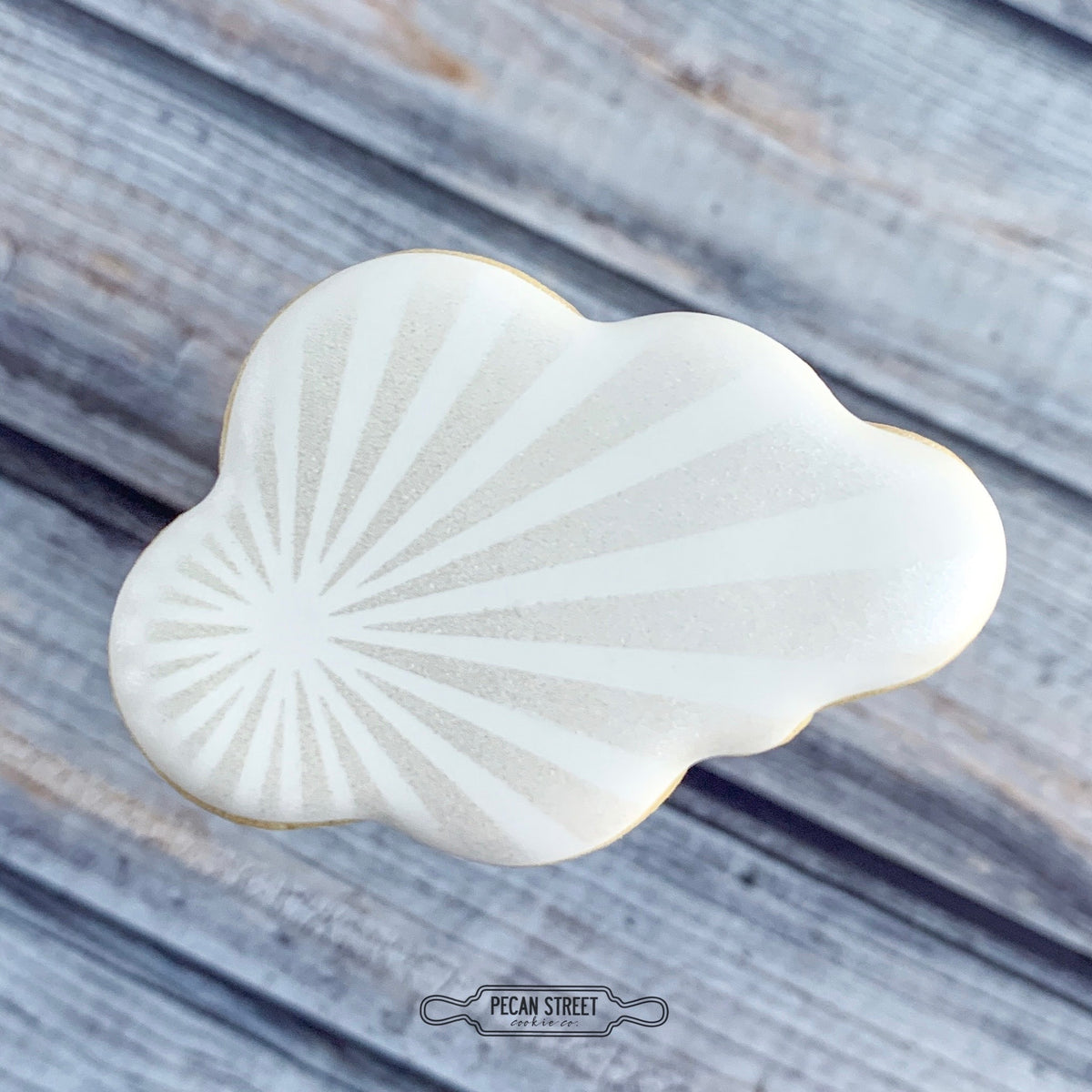 Biplane Mini Cookie Cutter – Pecan Street Cookie Co.